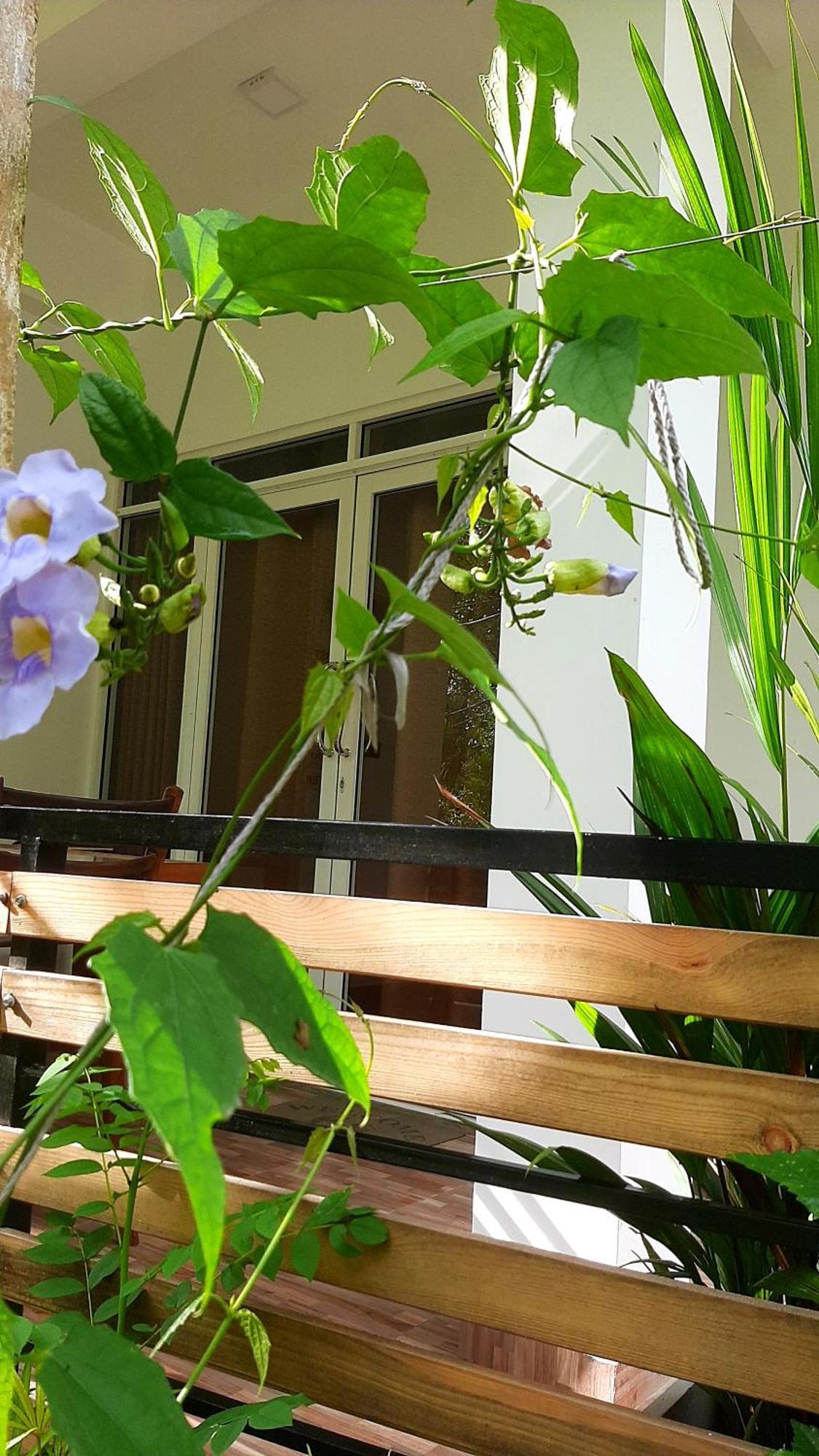 אלה Dhanudi Homestay מראה חיצוני תמונה