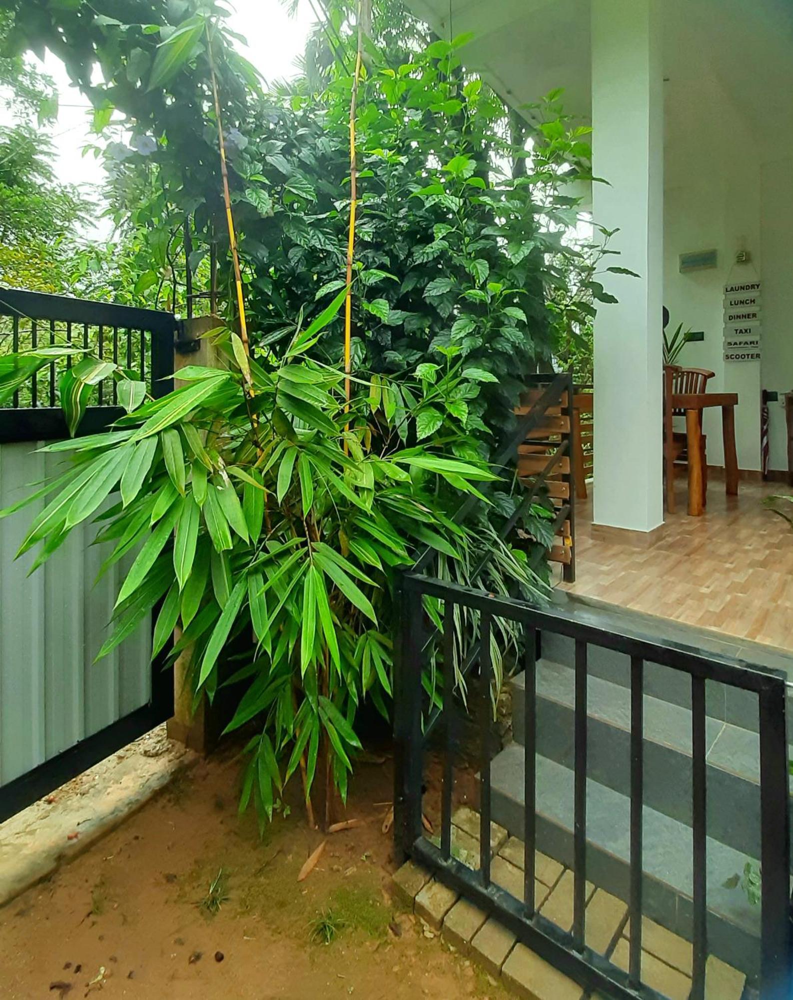 אלה Dhanudi Homestay מראה חיצוני תמונה
